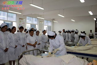 家政服務朝陽產業新探索 家庭勞務服務的未來之路
